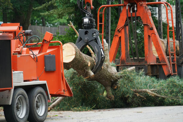 Lawn Watering Services in Greenhills, OH